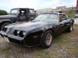 Schlitzohr Trans Am