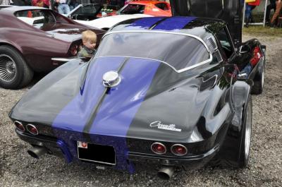 fette Vette 1